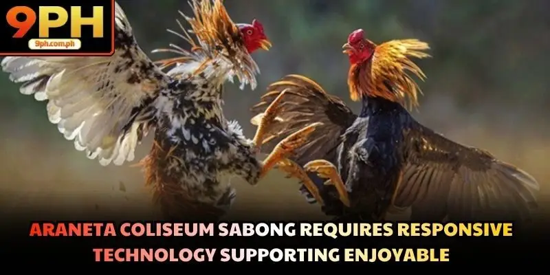 Araneta coliseum sabong requires responsive technology supporting enjoyable
