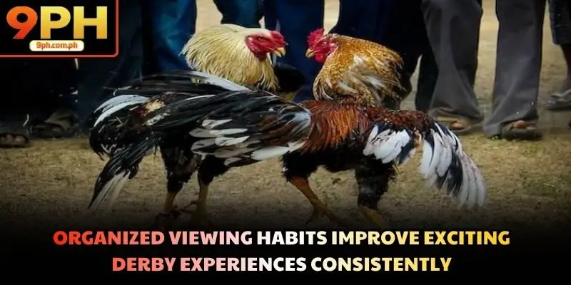 Organized viewing habits improve exciting derby experiences consistently
