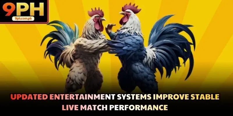 Updated entertainment systems improve stable live match performance