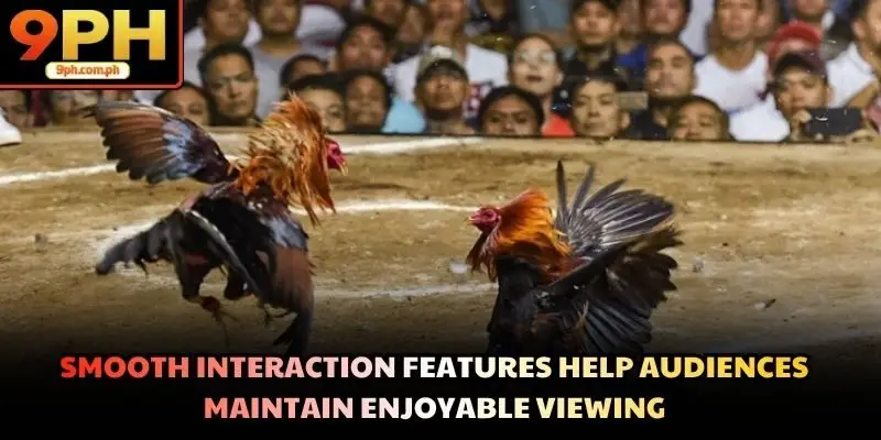Smooth interaction features help audiences maintain enjoyable viewing