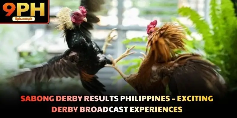 Sabong Derby Results Philippines