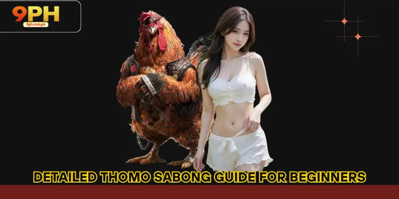 Detailed Thomo cockfighting guide for beginners